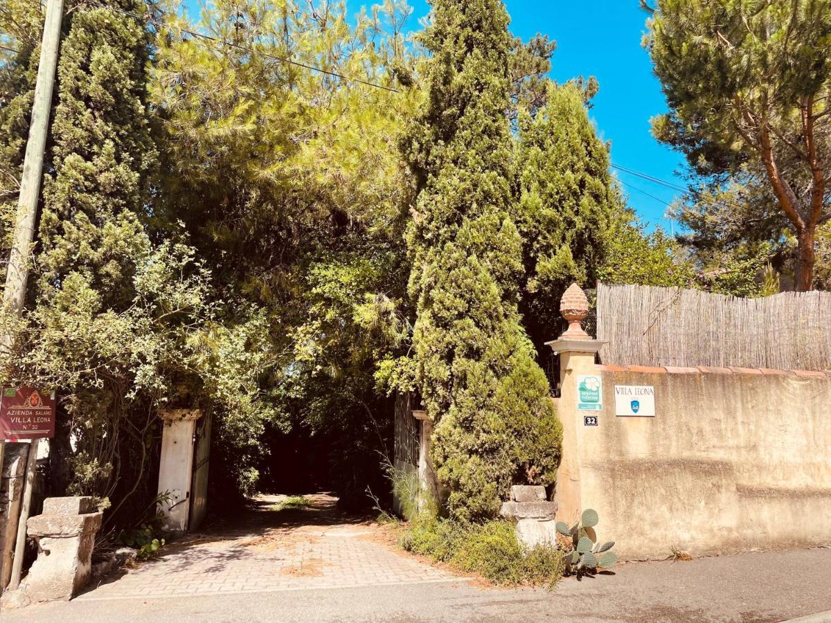 Villa Leona Clim Park Bollene Luaran gambar