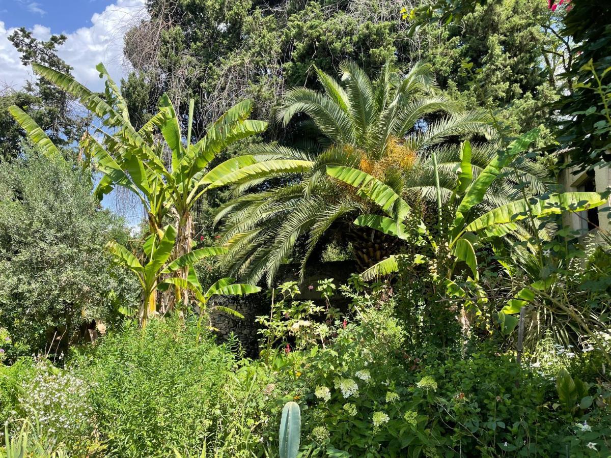 Villa Leona Clim Park Bollene Luaran gambar